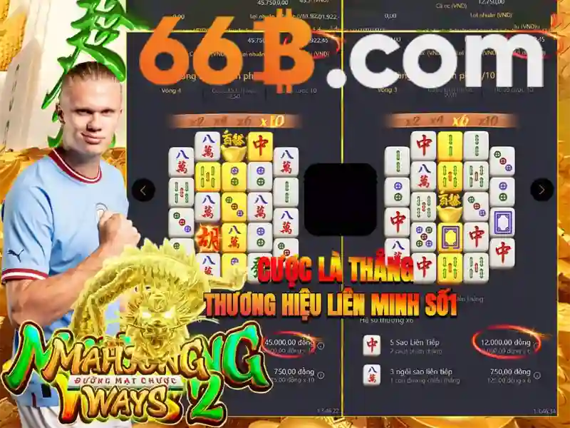 66b: Khái niệm và tác động trong văn hóa mạng