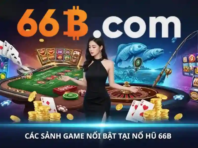66B: Khái niệm và ứng dụng