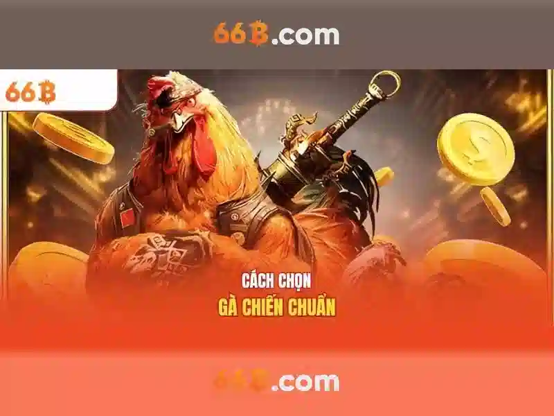 66B: Tìm hiểu kích thước, cấu trúc và ứng dụng