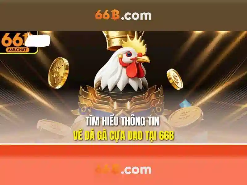 66B là gì và những điều bạn cần biết