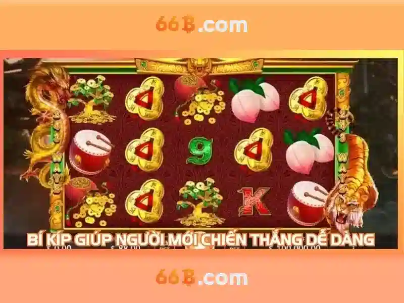 66b là gì: khái niệm và ứng dụng