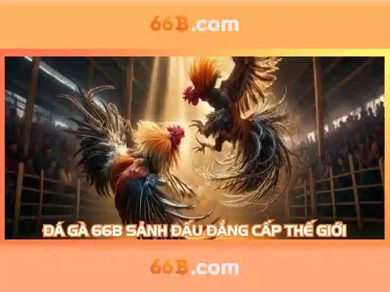 66b win – Đổi mới công nghệ số Việt