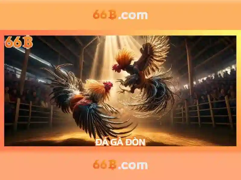 66b: Khám phá một con số đầy bí ẩn