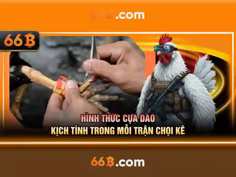 66B: Khái quát và ứng dụng
