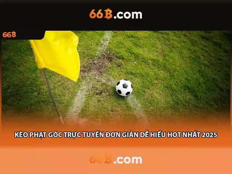 66b: Hành trình của một mô hình ngôn ngữ 66 tỷ tham số