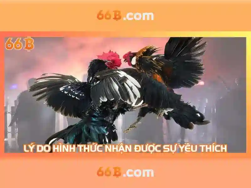 Giới thiệu về 66B