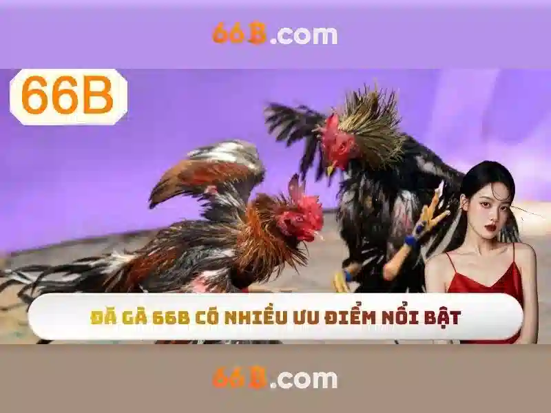 66B — Mô hình ngôn ngữ 66 tỷ tham số