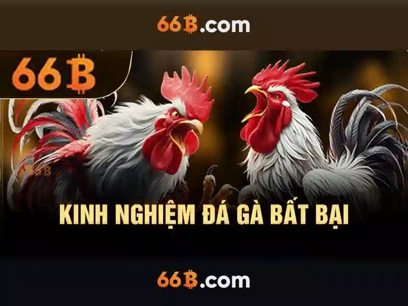 66B: Hiểu về mô hình ngôn ngữ kích thước 66 tỷ tham số