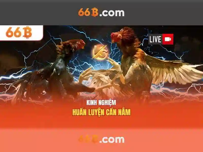 Khám phá mô hình 66B: Kích thước, đặc điểm và ứng dụng