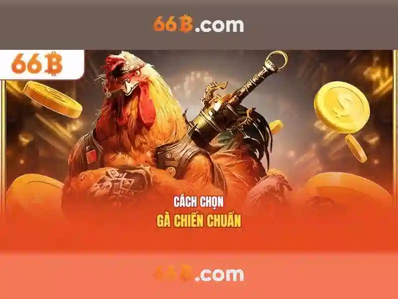 66b là gì