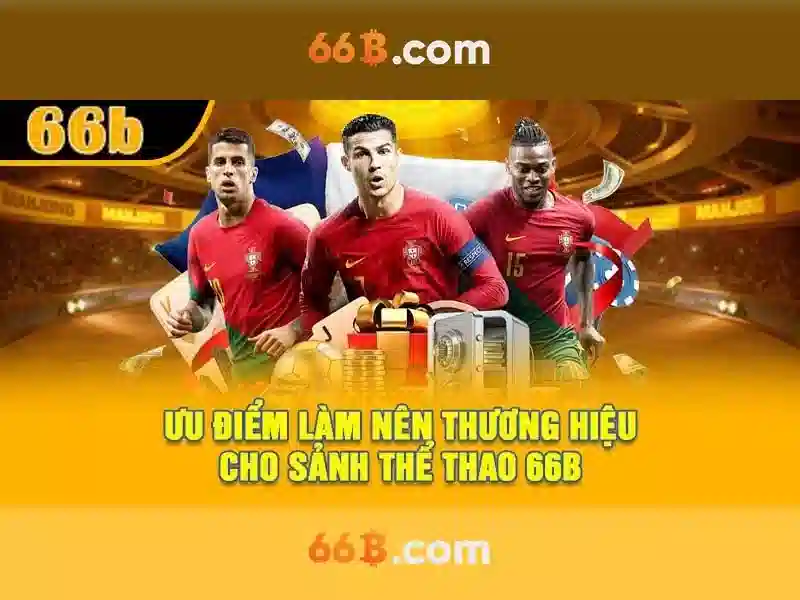 Khám phá mô hình 66b: Kích thước, kiến trúc và ứng dụng