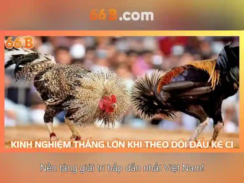 66B: Mô hình ngôn ngữ quy mô lớn và tiềm năng của nó