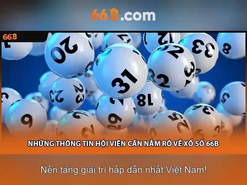 kiem-tra-giay-phep-66b