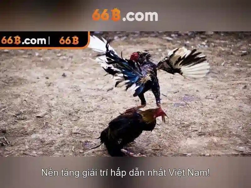 66b là gì và tiềm năng công nghệ