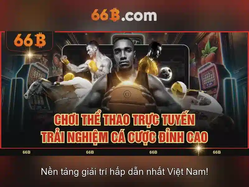 66B là gì và vì sao nó gây chú ý