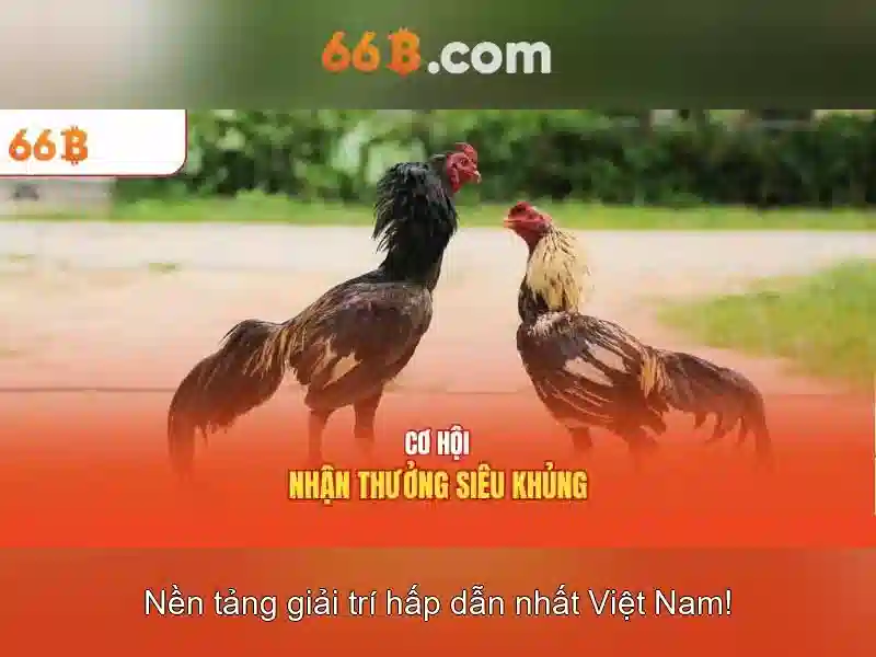 66b: một khái niệm hiện đại