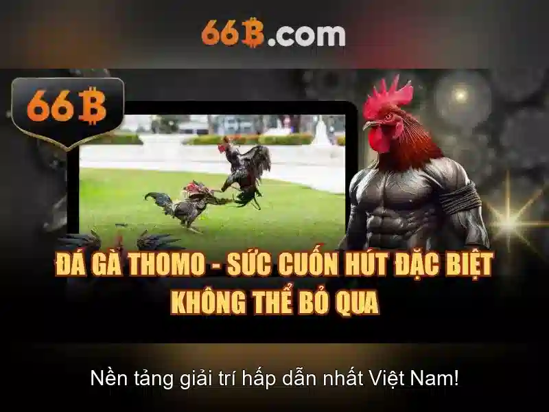 66B: Khái niệm, kiến trúc và triển vọng