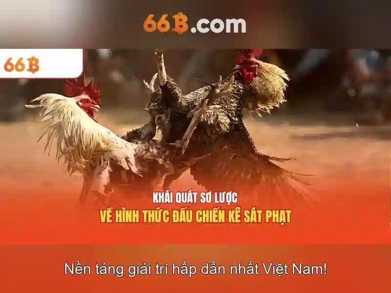66B: Mô hình ngôn ngữ lớn 66 tỷ tham số và vai trò của nó