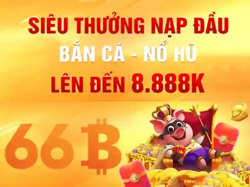 66b: ý nghĩa và ứng dụng