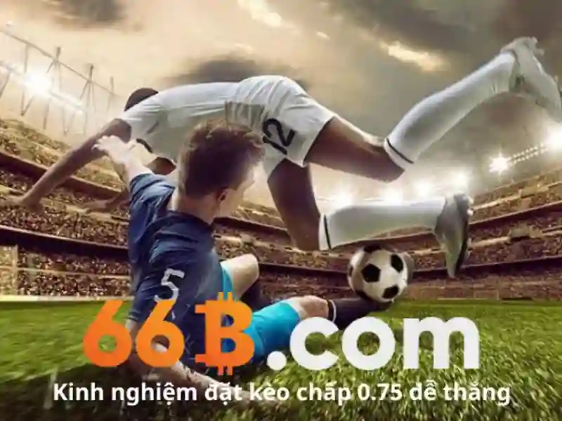 66b: một mã hóa và câu chuyện công nghệ