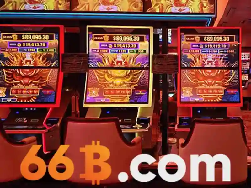 66b là gì và vì sao được yêu thích