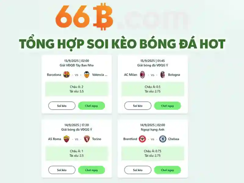 66b: ý nghĩa và ứng dụng