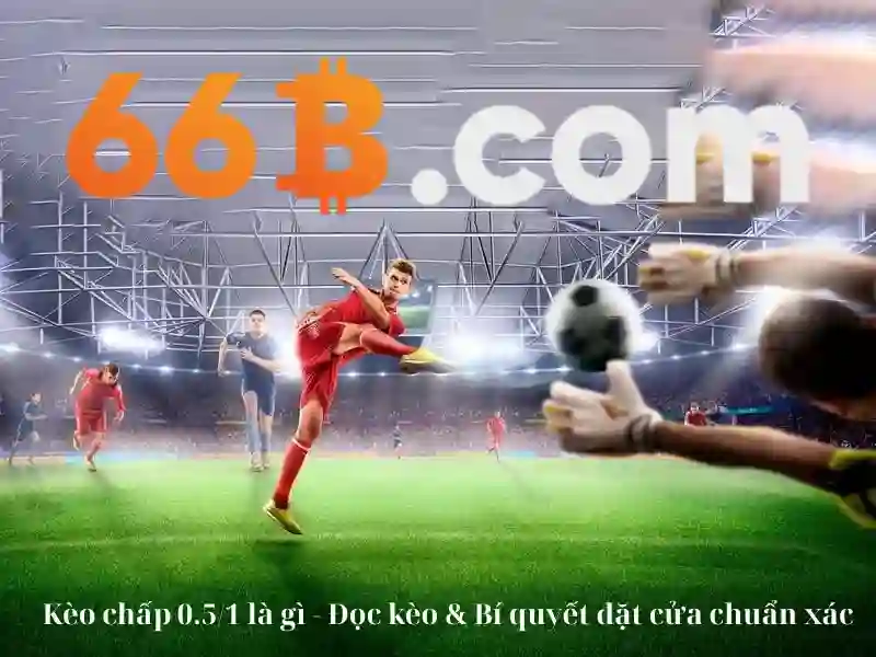 Quy trình thu thập dữ liệu 